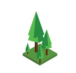Pine tree in isometric 3d side view
