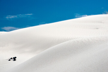 Fototapeta na wymiar white sand in porto pino beach, sardinia