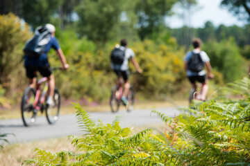 people cycling on the bike paths in the forest