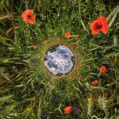 inversion of Little planet transformation of spherical panorama 360 degrees. Spherical abstract...