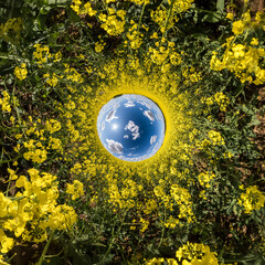 inversion of Little planet transformation of spherical panorama 360 degrees. Spherical abstract...