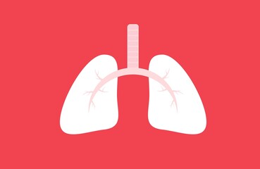 Flat vector illustration of lungs.