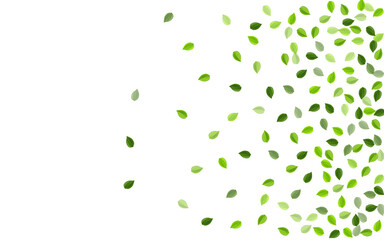 Grassy Foliage Ecology Vector Illustration. 