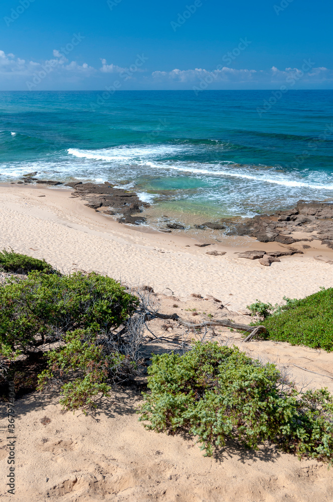 Wall mural sand dunes and wild beach of piscinas, west sardinia