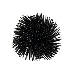 Obraz premium Raw Black Spaghetti, Dry Pasta with Cuttlefish Ink