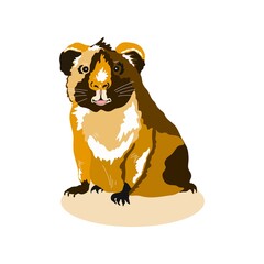 Vector illustration of a guinea pig. Cute pet of red color on a white background. Pet guinea pig.