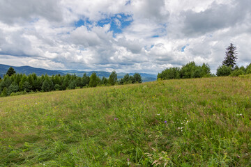 Landscape of summer Carpathian mountains. mountains landscape. Dramatic sky. Carpathian, Ukraine, Europe. Beauty world. 
