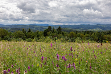 Fototapeta premium Landscape of summer Carpathian mountains. mountains landscape. Dramatic sky. Carpathian, Ukraine, Europe. Beauty world. 