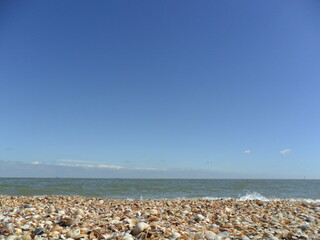 blue sky and beach with shells