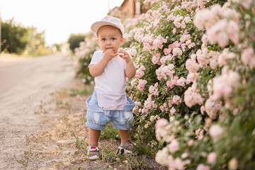 baby boy walking alone