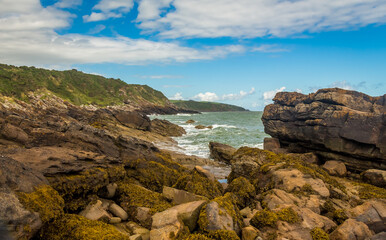 A view rocky coastline at low tide with seaweed on the rocks, at Abbey Burnfoot, in southern Scotland
