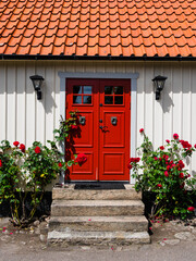 Fototapeta na wymiar Roses growing in front of door