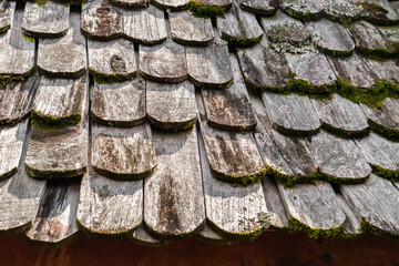 Close up of old wooden shingles roof with green moss
