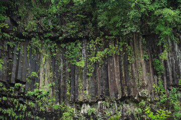 霧島神水峡の柱状節理