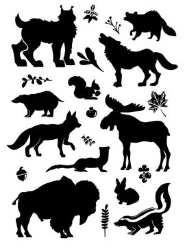 Forest animals detailed vector silhouettes. Woodland and mountain wild nature sticker set including leaves, berry, maple, moose, wolf, fox, raccoon, squirrel, ferret, lynx, badger, bison, rabbit,skunk