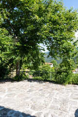 A paved level bordered with green trees.