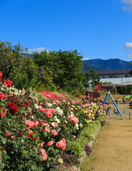 一本木公園の景観