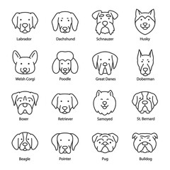 Dog breed, icon set. Heads with titles, linear icons. Labrador, Dachshund, Schnauzer, Husky, Corgi, Poodle, Pointer, etc. Line with editable stroke © Matsabe