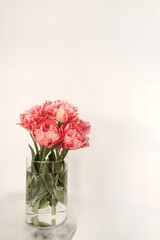Obraz premium Beautiful pink peony flowers bouquet in glass vase on marble table on white background. Beauty floral composition. Minimal interior design decoration