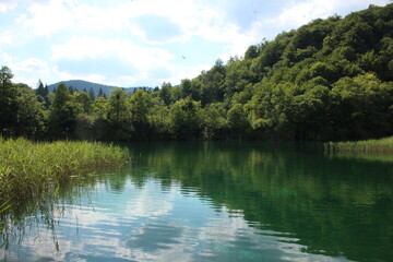 Fototapeta na wymiar Plitvice lakes, Croatia, natural waterfalls and streams of water in the park, landscape image