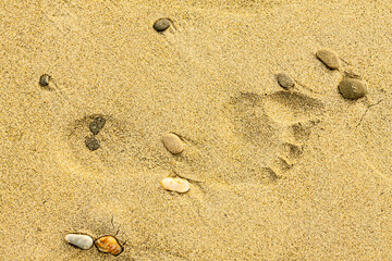 the imprint of a foot marked on the sand of the beach