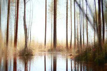 autumn forest blurred motion background / soft yellow nature landscape in autumn park