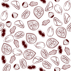 Fototapeta na wymiar Hand drawn print with different whole and shelled nuts Sketch seamless pattern with walnuts, brazil nuts, peanuts, hazelnuts and pecan on white background