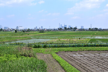 さいたま市西部 大久保農耕地A区