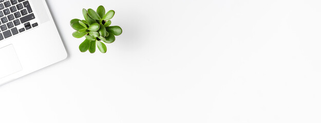 Business concept with laptop and small succulent isolated on white background. Office desktop. Banner