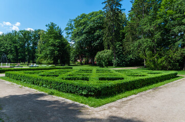 Garden in the Park