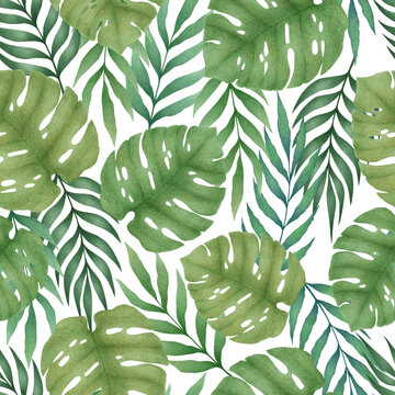 Seamless tropical pattern with watercolor hand drawn monstera leaves and palm branches isolated on white background. Floral illustration for design, print, fabric, textile