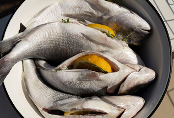 gutted gilthead / dorado prepared for grilling / cooking
