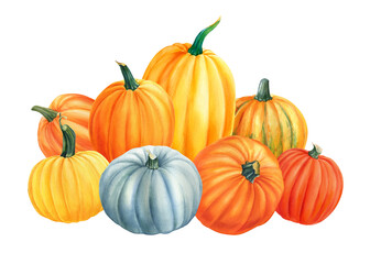 composition of pumpkins on isolated white background, watercolor illustration, hand drawing, poster