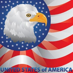 bald eagle on american flag background