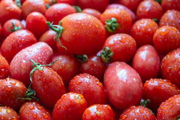 fresh red tomatoes