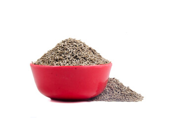 indian spices cumin seeds isolated.