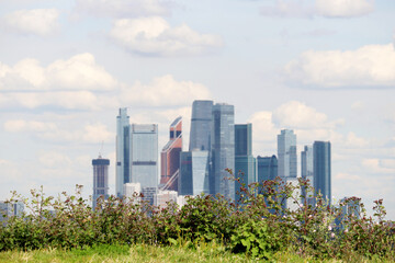 Fototapeta premium View to skyscrapers of Moscow city through the grass and flowers, selective focus. Futuristic city in summer, concept of urbanization