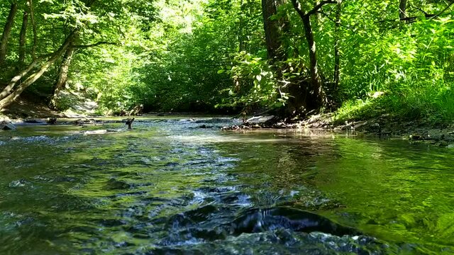 Idyllic river floating through a green forest scenery with little waves and stones in the calm creek shows relaxing hiking tourism with clear water and a wonderful healthy environment in motion