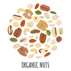Banner template with nuts and seeds in circle.