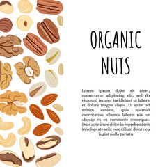 Template with border with nuts. Kitchen, cooking print and banner.