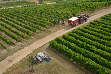 sommerlandschaft rheinhessen © lotharnahler