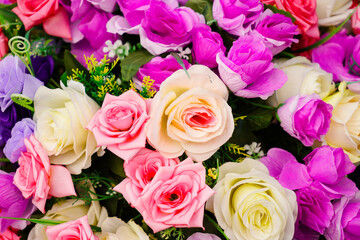 Background of many color roses.