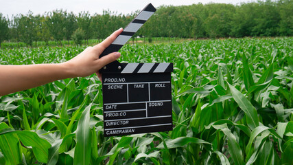 Close up female holding in hand classic director film making clapperboard in a corn field.