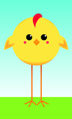cute little cockerel, round cartoon yellow chicken on long thin legs, vector illustration