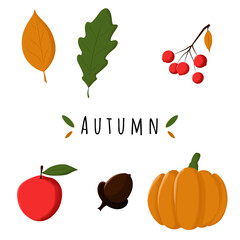 Autumn illustrations. Vector cartoon icons. Isolated objects on white.