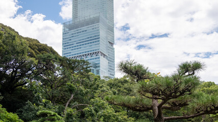 Obraz premium 庭園からのあべのハルカス