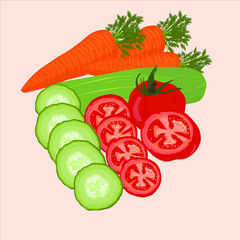 Carrot, tomato and cucumber as vegetables and salad vector illustration