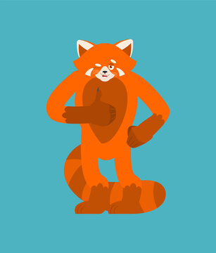 Red panda thumbs up and winks emoji. Wild animal happy emoji. Vector illustration