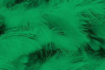 Beautiful feather color light green pattern texture background