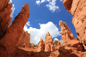bryce canyon national park